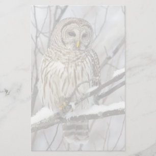 Papelaria Coruja Barred com queda de neve leve