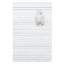 Coruja nevado do pássaro animal que olha me