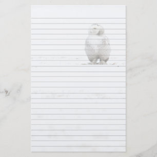 Papelaria Coruja nevado do pássaro animal que olha me