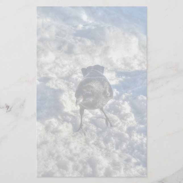 Papelaria Corvo Negro em Foto de Neve (Frente)