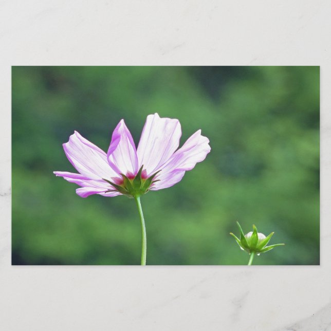 Papelaria Cosmos (Frente)