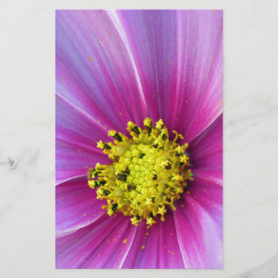 Papelaria Cosmos Rosa
