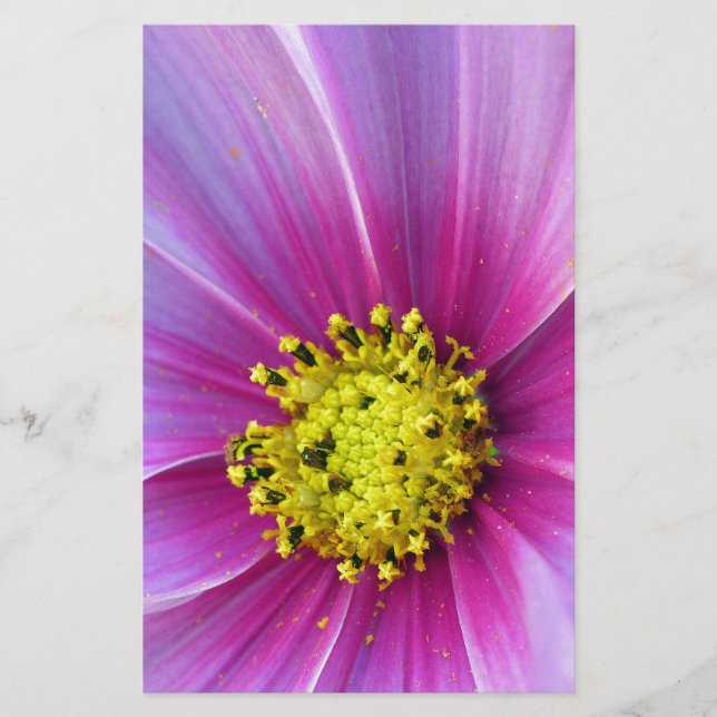 Papelaria Cosmos Rosa (Frente)