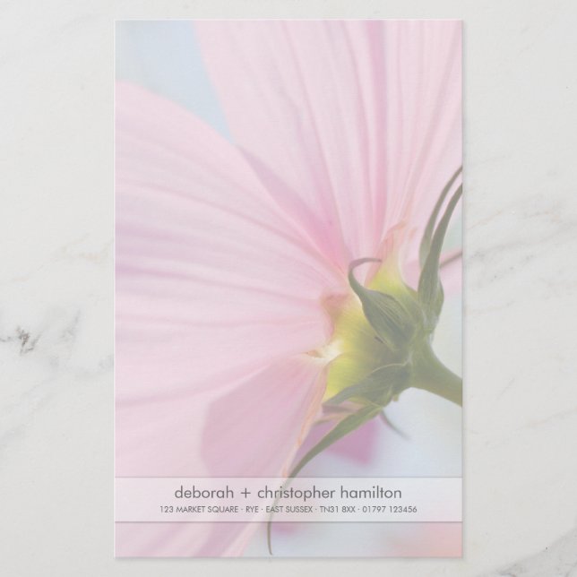 Papelaria Cosmos Rosa ・ Papel de Carta (Frente)