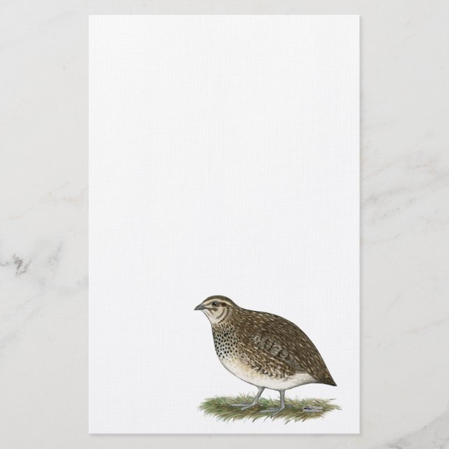 Papelaria Coturnix Quail Hen (Frente)
