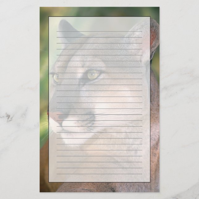 Papelaria Cougar, Califórnia (Frente)