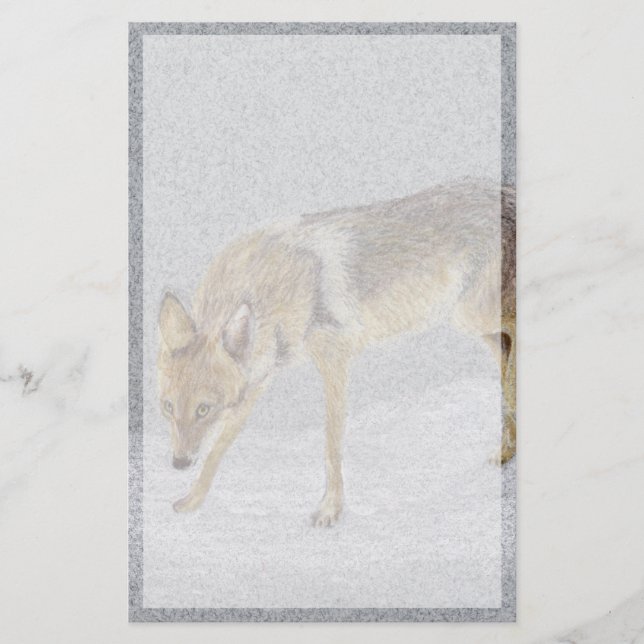 Papelaria Coyote (Frente)