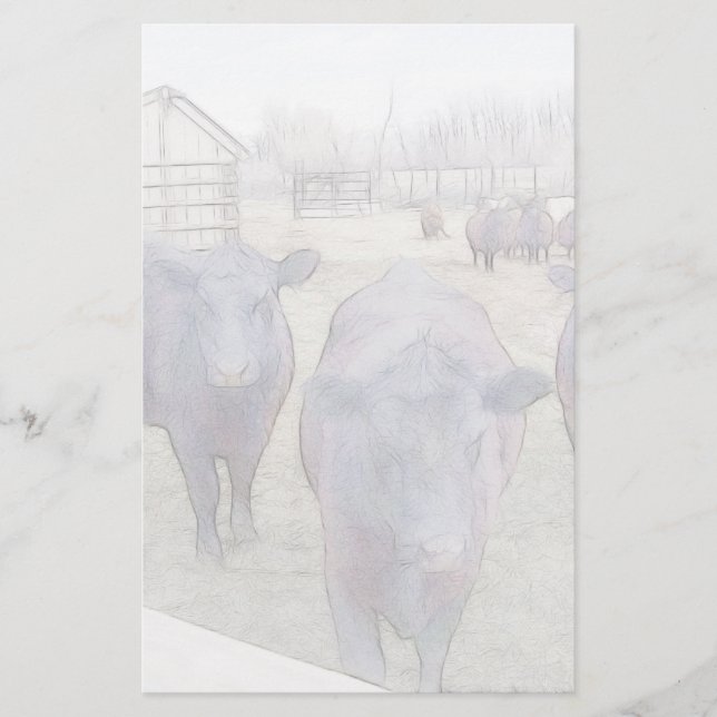 Papelaria Curioso e jovem angus negro (Frente)