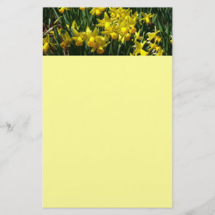 Papelaria Daffodils Amarelos I Flores De Mola Cheery