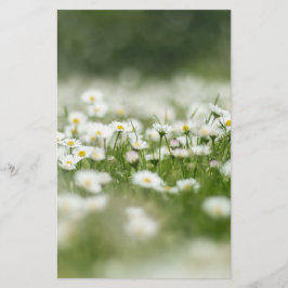 Papelaria Daisy Meadow