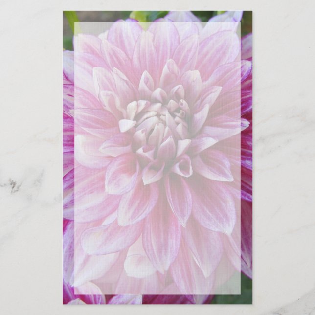 Papelaria Dália cor-de-rosa com beira (Frente)