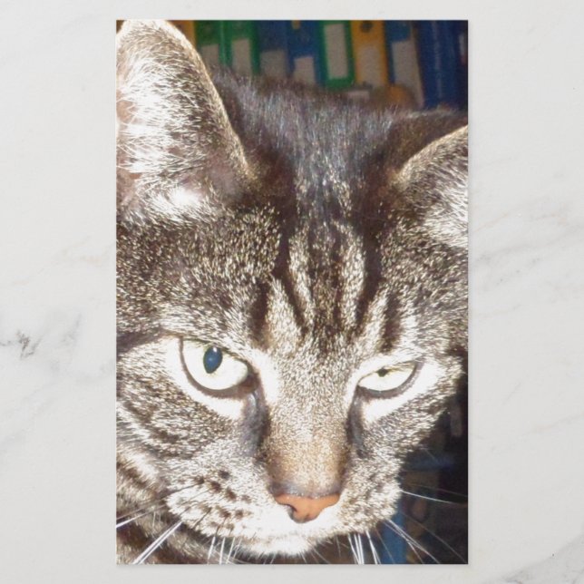 Papelaria Dave está te observando (Frente)