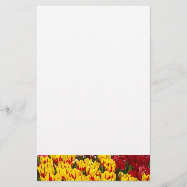 Papelaria de Flores de Tulipa Primavera Tulipas Am (Frente)
