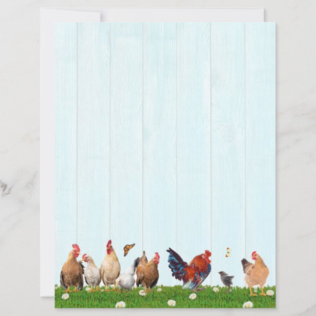 Papelaria de Frango Fofo - Gato Adicionado na Part (Frente)