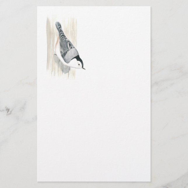 Papelaria de Mata Branca (Frente)
