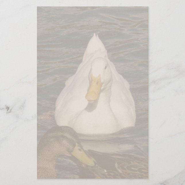 Papelaria de Pássaros Pássaros Pequim (Frente)