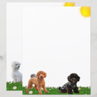 Papelaria de Poodle e Ouriço