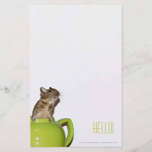 Papelaria Degu em um bule 'Hello (Frente)