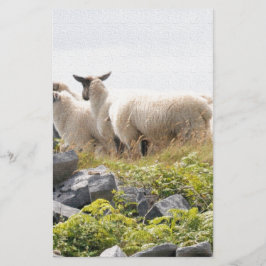 Papelaria Designs Quirky - Ovinos em um campo