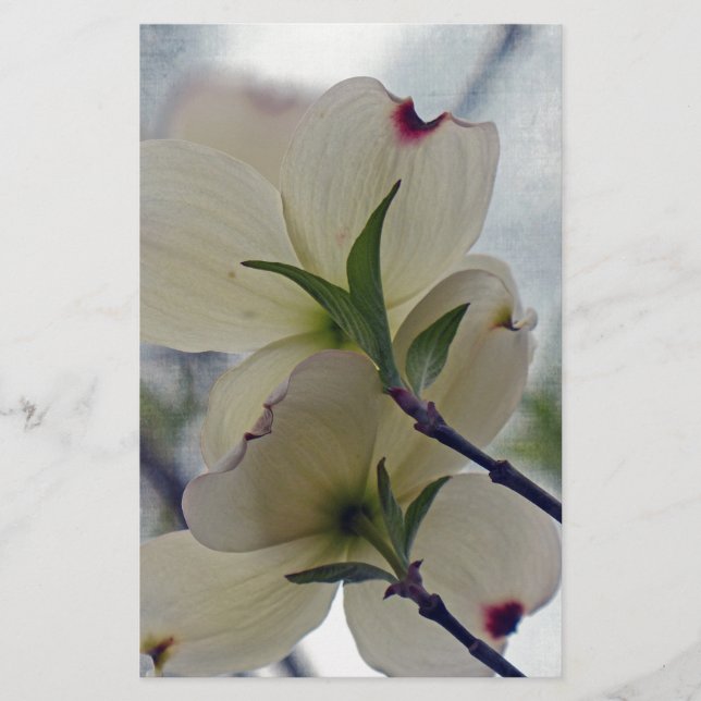 Papelaria Dogwood Blossoms (Frente)