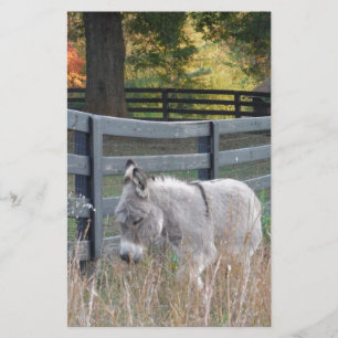 Papelaria Donkey em um Campo de outono