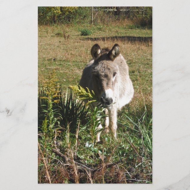 Papelaria Donkey Picting Yellow Autumn Wildflower (Frente)