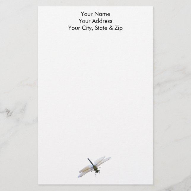Papelaria Dragonfly (Frente)