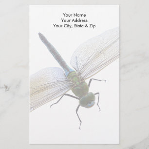 Papelaria Dragonfly