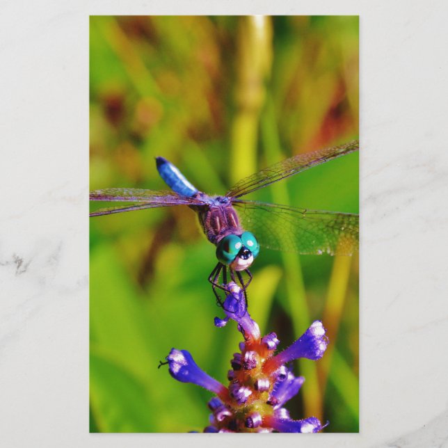 Papelaria Dragonfly e flor (Frente)
