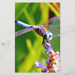 Papelaria Dragonfly Teal & Purple