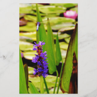 Papelaria Dragonfly Voadora