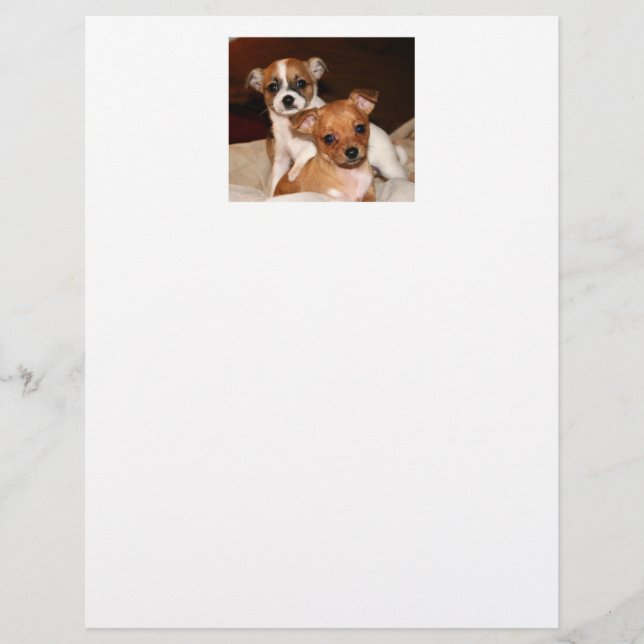Papelaria, Duas Cachorros Adoráveis (Frente)