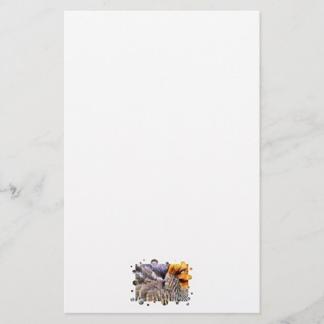 PAPELARIA DUCKS (Frente)