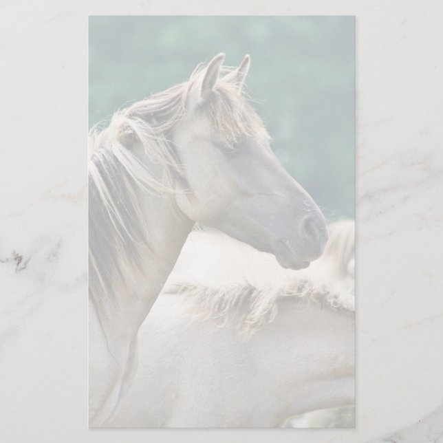 Papelaria Efetivo de Cavalos de Brumby da Austrália (Frente)