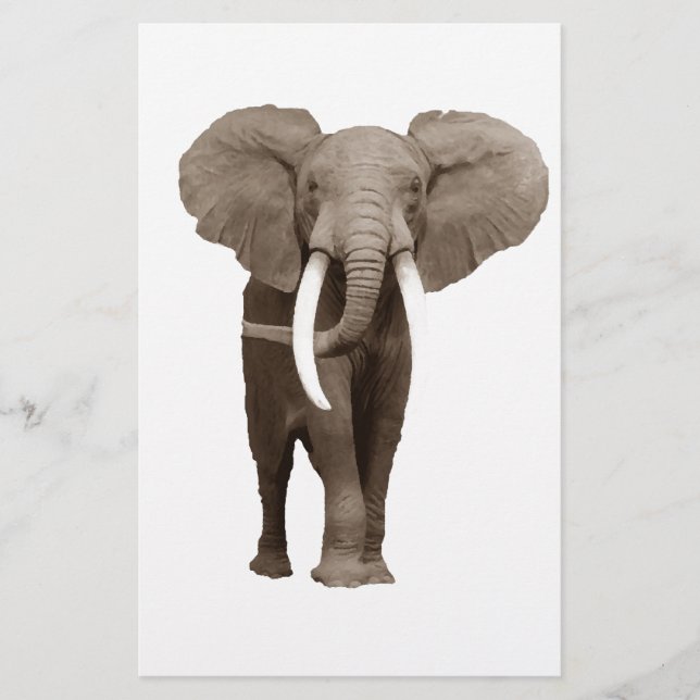 Papelaria Elefante (Frente)