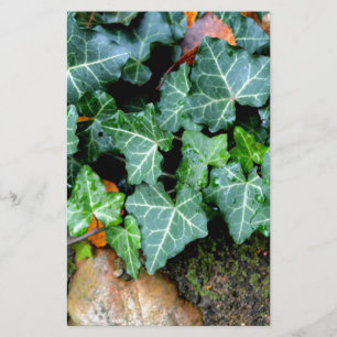 Papelaria Elegante Ivy field stone boho botânico