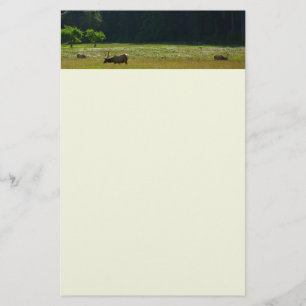 Papelaria Elk Meadow no Parque Nacional Redwood