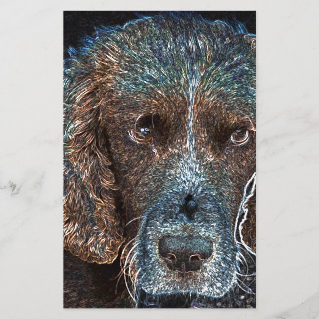 Papelaria English Springer (Frente)