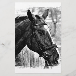Papelaria Esboço de cavalo preto e branco