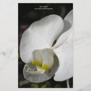 Papelaria Espião Personalizada da Orquídea Branca de Seda