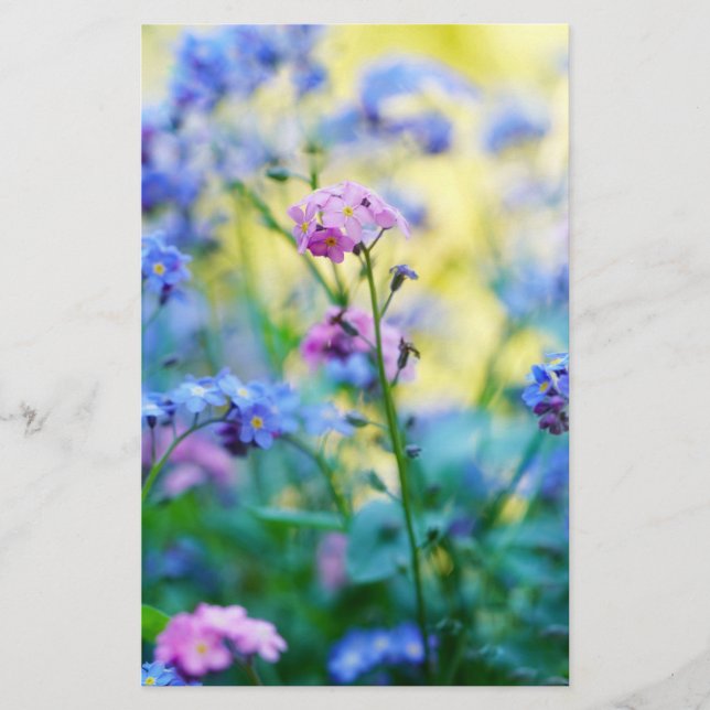 Papelaria Esqueçam-me-não-flores (Frente)