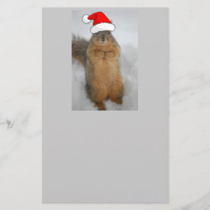 Papelaria Esquilo de Natal