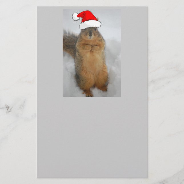 Papelaria Esquilo de Natal (Frente)
