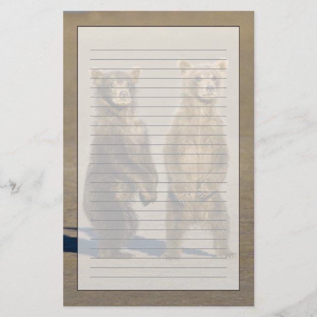 Papelaria EUA. Alasca. Filhotes de Urso Pardo Costeiro (Frente)