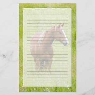 Papelaria EUA, Washington, Cavalo no Campo Primavera,