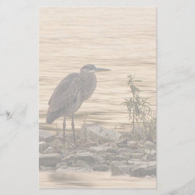 Papelaria Excelente Blue Heron (Frente)