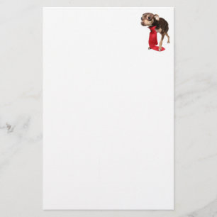 Papelaria Executivo Chihuahua