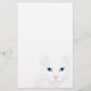Papelaria Face de gato branco