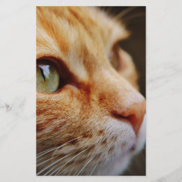 Papelaria Face determinada de um gengibre