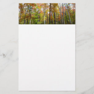 Papelaria Fall Forest I Autumn Landscape Photoshop